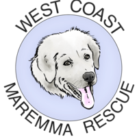 West Coast Maremma Rescue Thumbnail